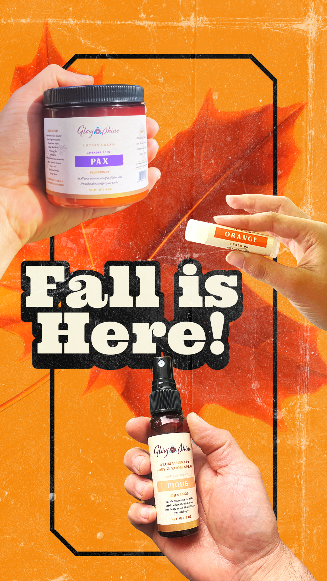Fall Bundle Trio